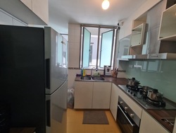 Thomson Euro-asia (D11), Condominium #543447521